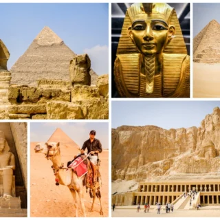 Travel Packages