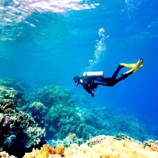 Hurghada Scuba Diving Experience