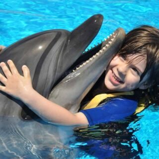 Hurghada Dolphin House Snorkeling Tour