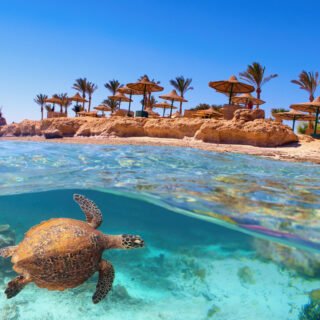 Marsa Alam